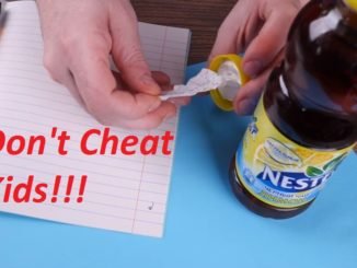 Don't Cheat in School Kids